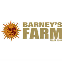 Barneys farm